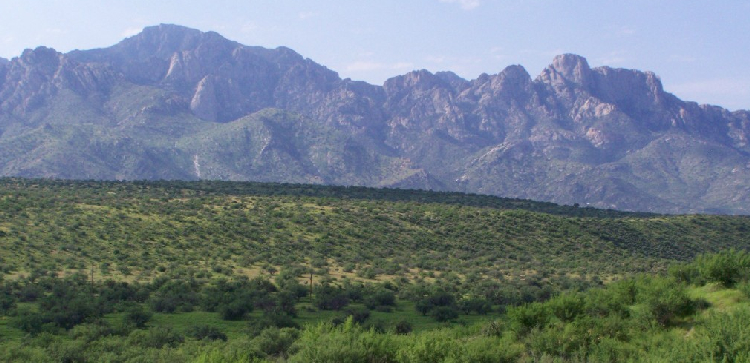 catalinas